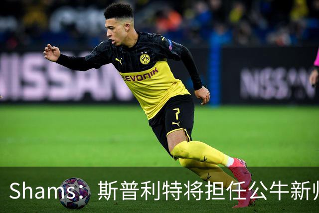 Shams：斯普利特将担任公牛新帅 上赛季率开拓者获西部第七